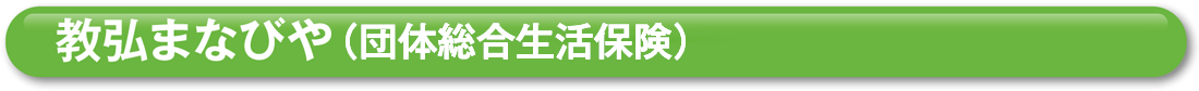 教弘まなびや（団体総合生活保険）